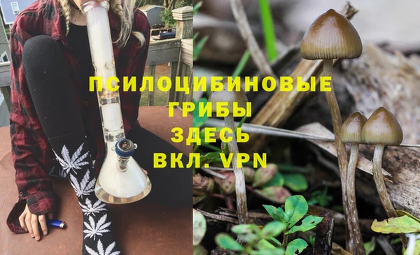 mdpv Аркадак